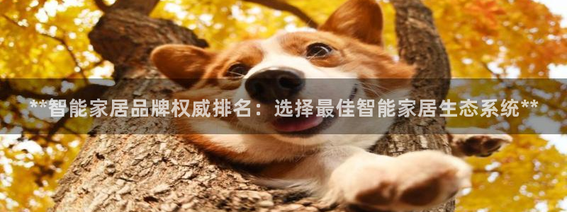 ug环球会员手机版下载