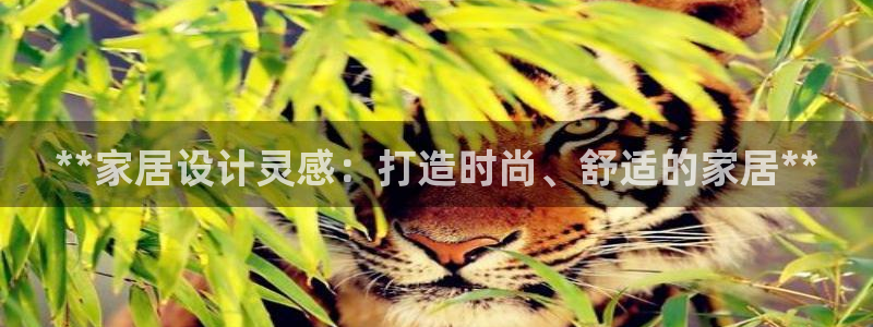 ug环球视讯