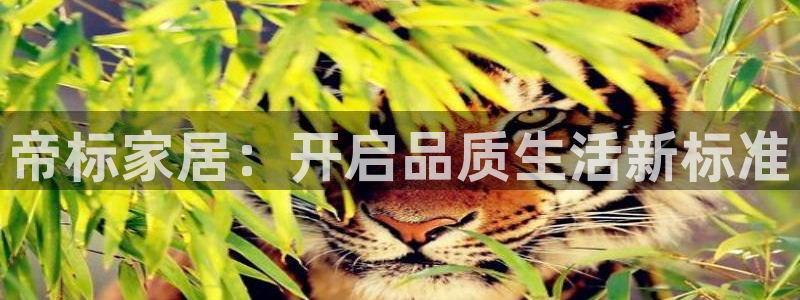 Ug环球私网一比一