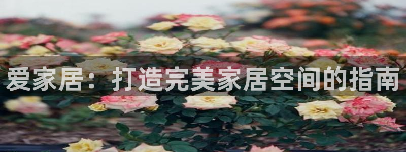 ug环球代理加盟