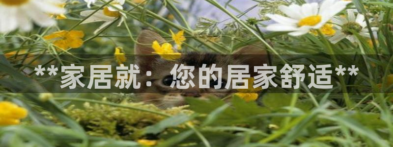 ug环球国际买分