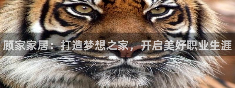 ug环球视讯官网登录入口