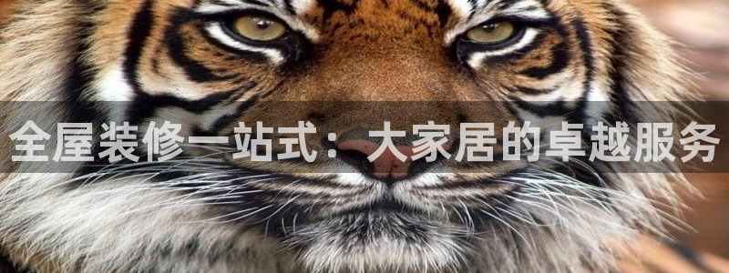 环球ug官网会员注册