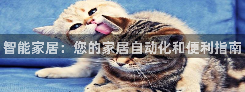 ug环球好假