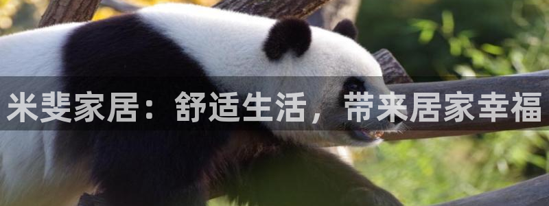 ug环球视讯官网登录入口