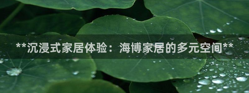 ug环球代理加盟