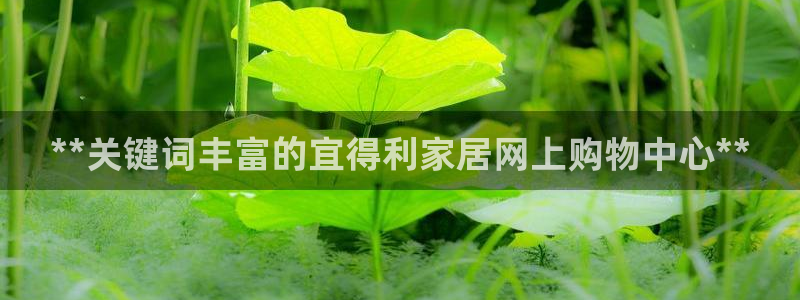 ug环球买代理