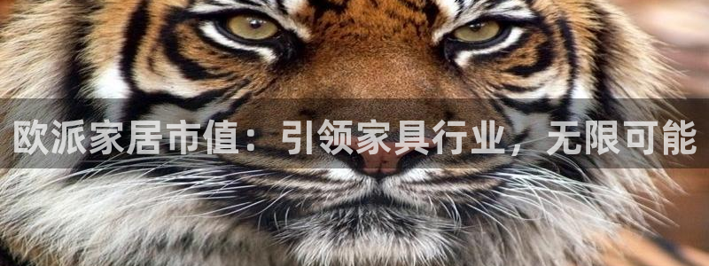 ug环球官网入口