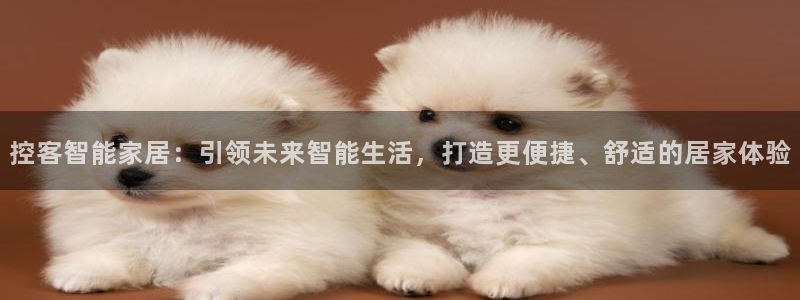 Ug环球网网址