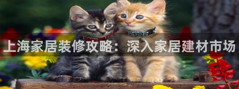 ug环球视讯