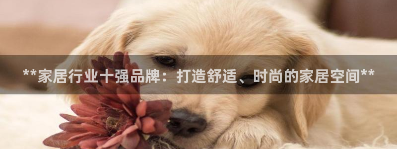 ug环球代理