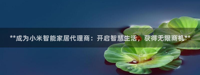 ug环球密码重置是多少位数啊