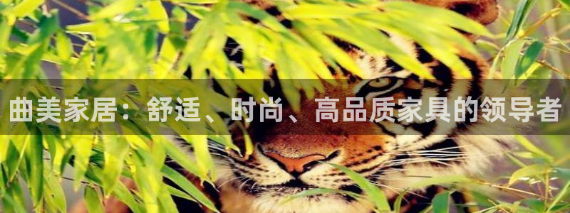 UG环球视讯