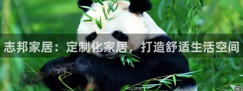 ug环球视讯充值