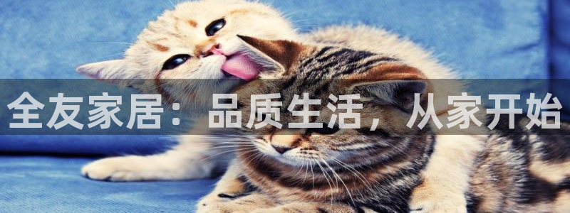 ug环球会员充值