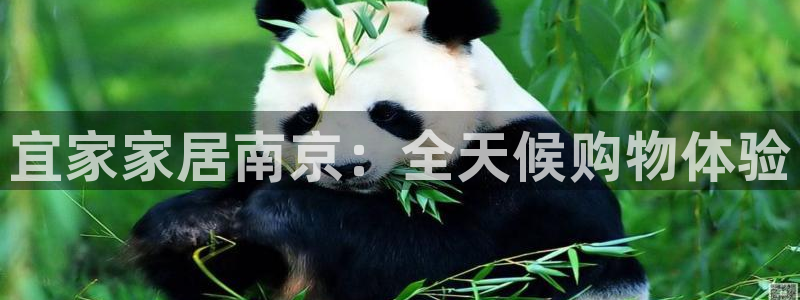 ug环球会员官方客服电话