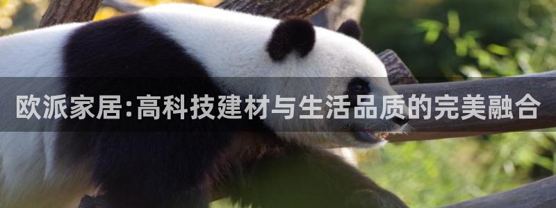 ug环球信用盘：欧派家居:高科技建材与生