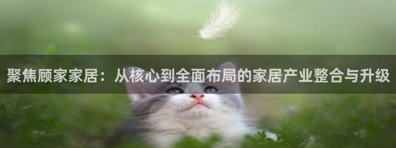 ug环球正网买分