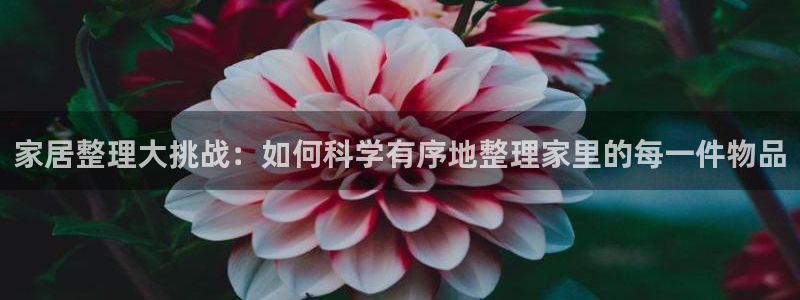ug环球会员官方客服电话