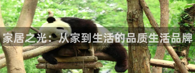 UG环球视讯下载