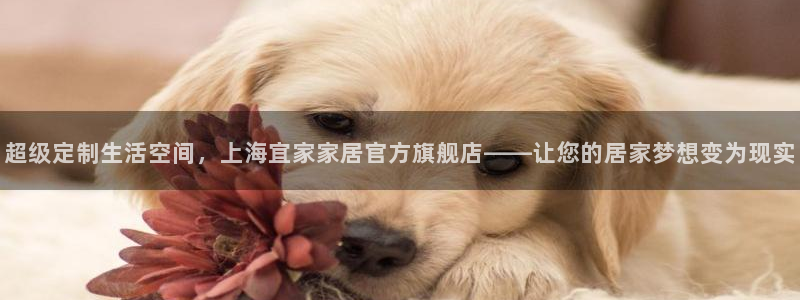 ug环球正网