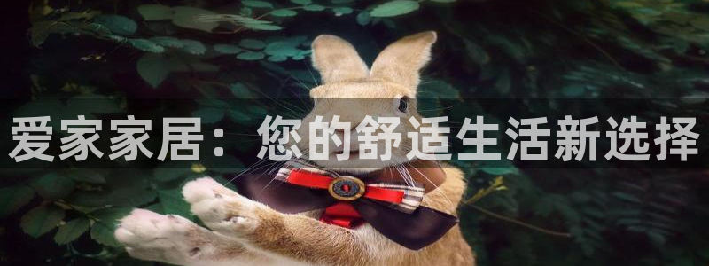 ug环球正网包杀