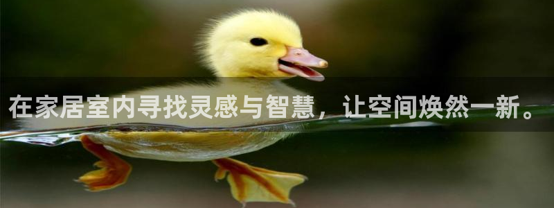 ug环球信用盘