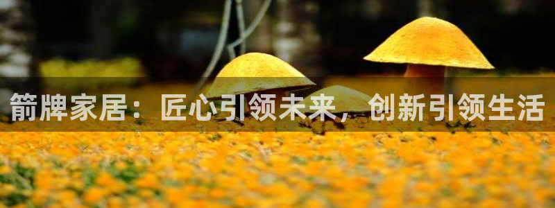 ug环球去唯xkk908