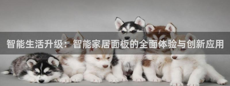ug环球代理平台